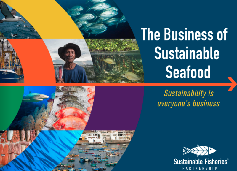 Cover of the 2022-23 Annual Report, The Business of Sustainable Seafood